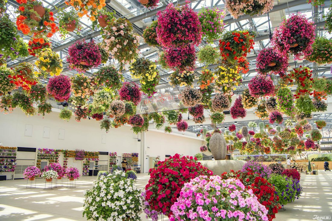 🌸 시마네 꽃의 마을(시마네 하나노사토) 이미지 10